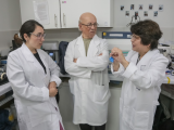 clínica mayo, universidad de valparaíso, infarto agudo de miocardio, infarto, terapia de reperfusión, rienzi díaz, satsuki yamada